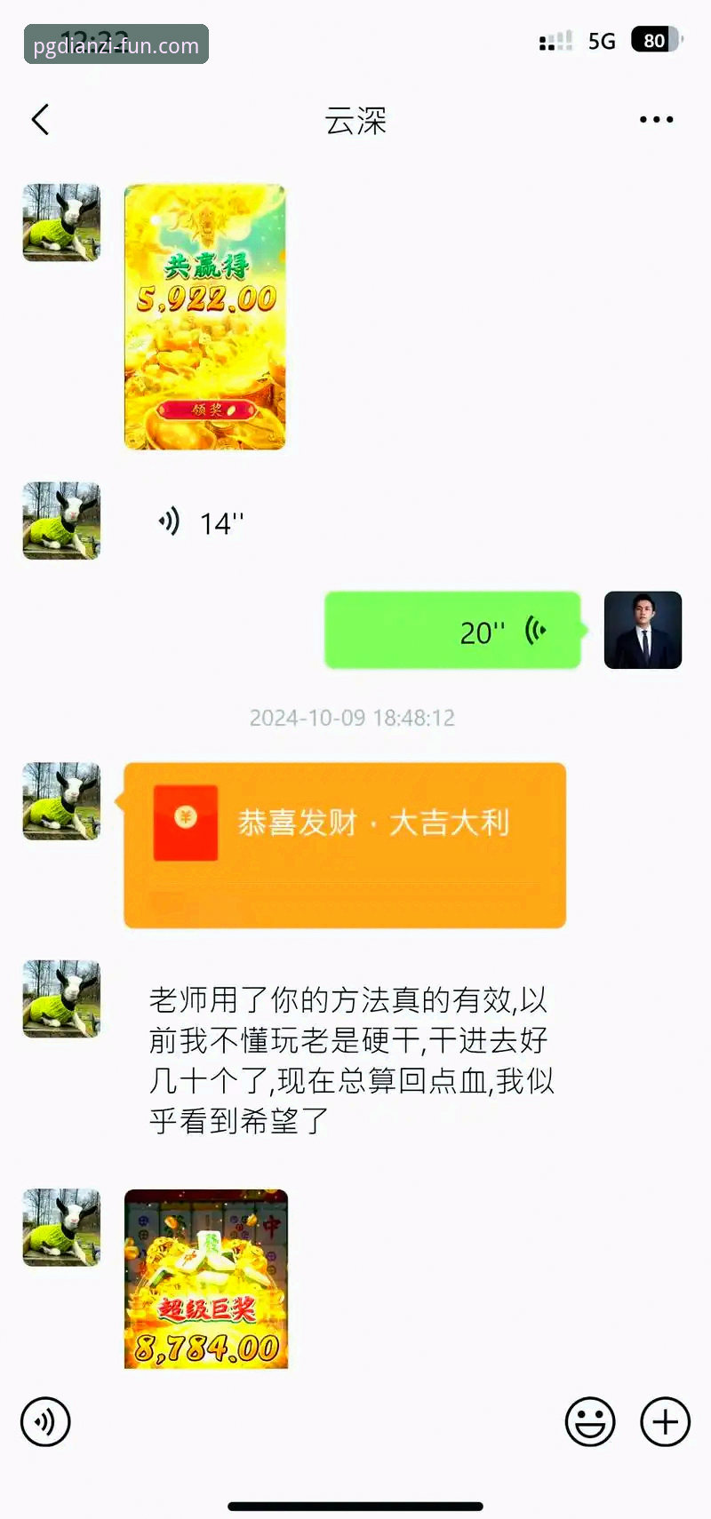 PG电子移动端娱乐实用技巧：从入门到精通的必备知识